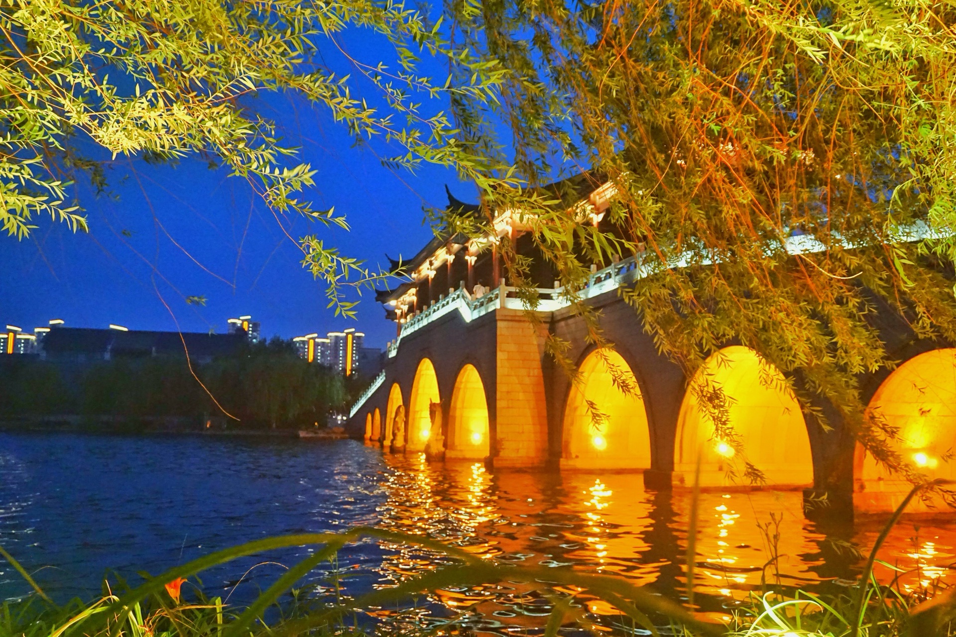 夜骑金鸡湖攻略，夜骑金鸡湖路线，金鸡湖夜骑指南