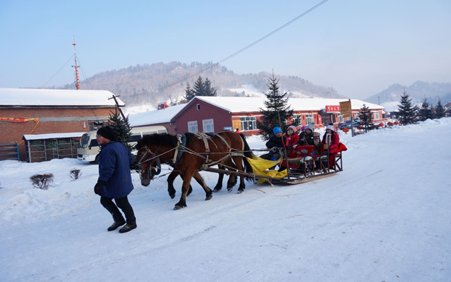 亚布力虎峰岭2日游品质滑雪壮美虎峰岭含马拉爬犁观光缆车雪服雪镜