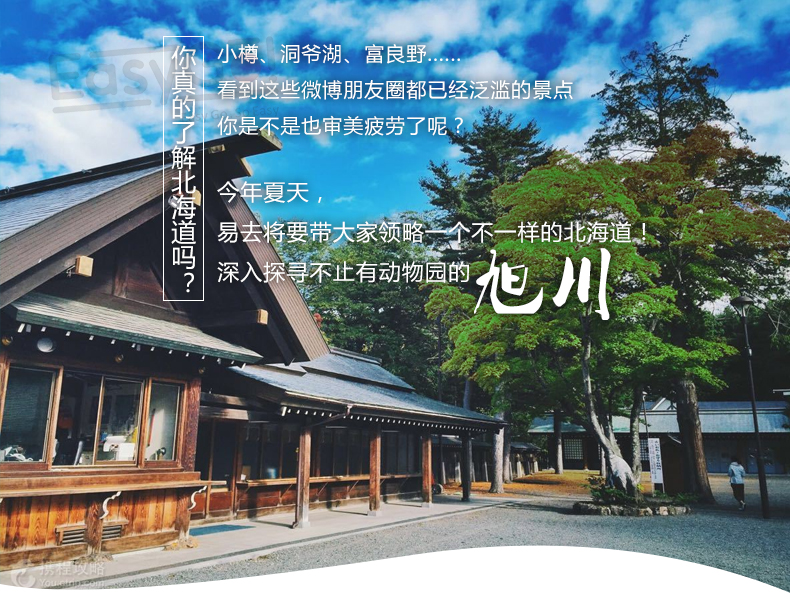 北海道盘点那些你不知道的旭川上川神社设计中心拉面村木花壶屋常磐