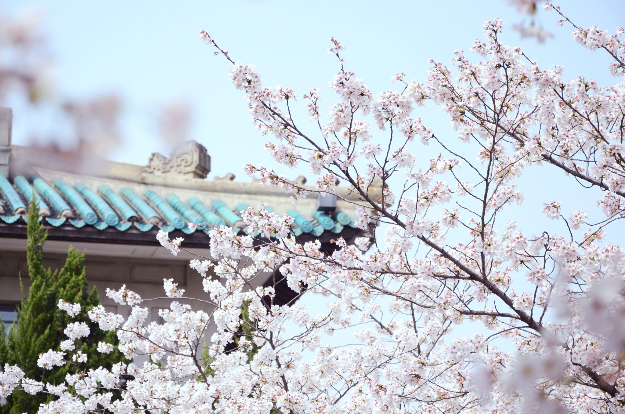 武汉3月天气