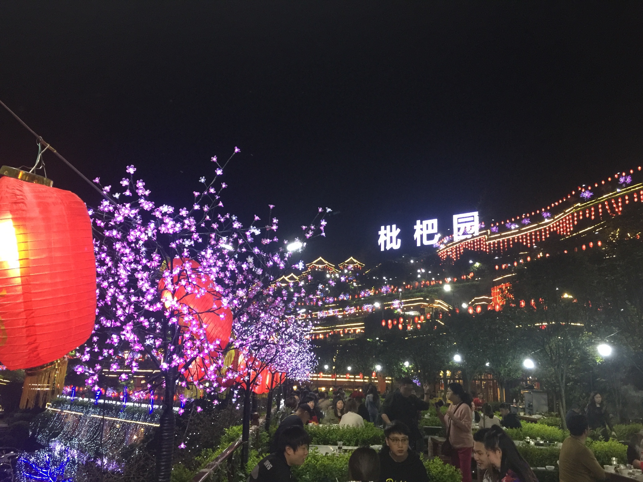 枇杷园          