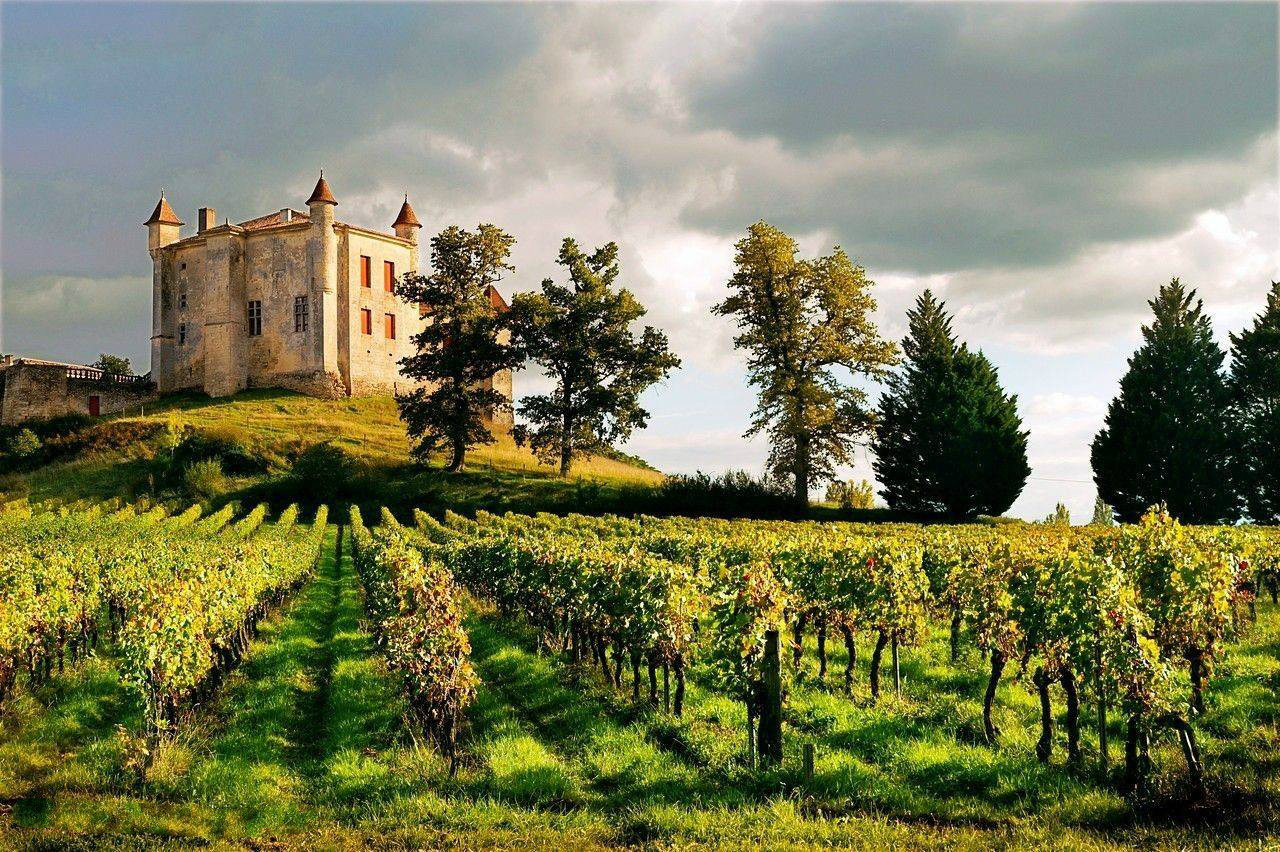 前往波尔多地区最古老的葡萄酒产区圣爱美浓,圣爱美隆(saint-emilion)