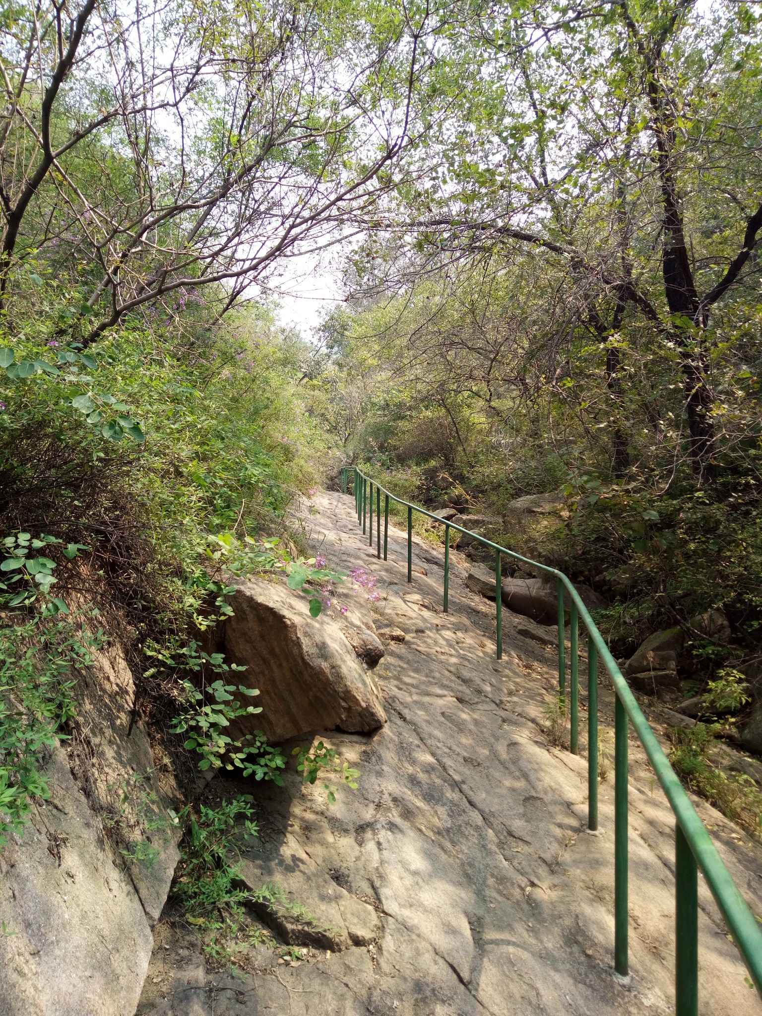 自驾游-石家庄秋山原生态自然风景区