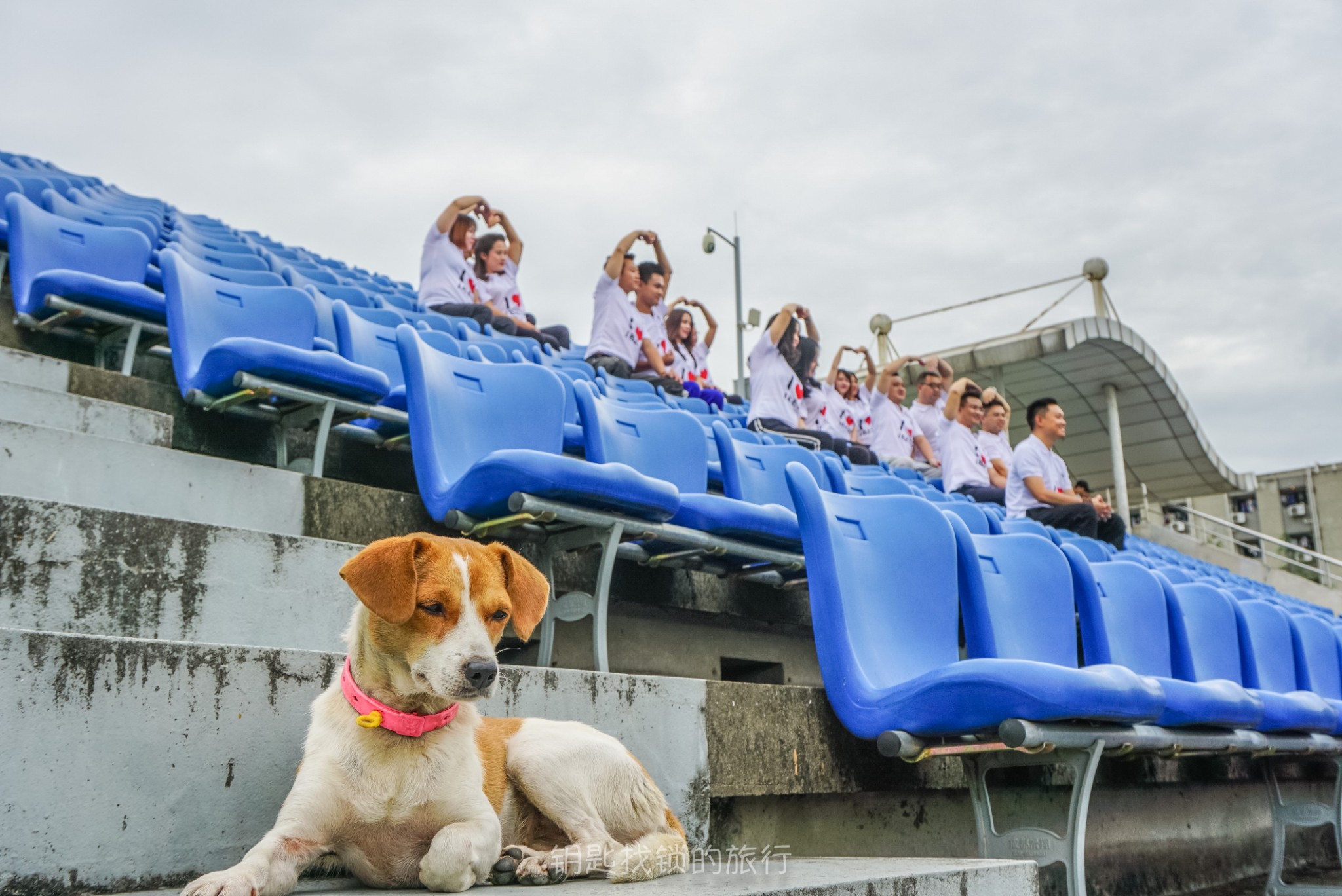 浙江人用四天打卡成都网红餐厅,终于发现成都