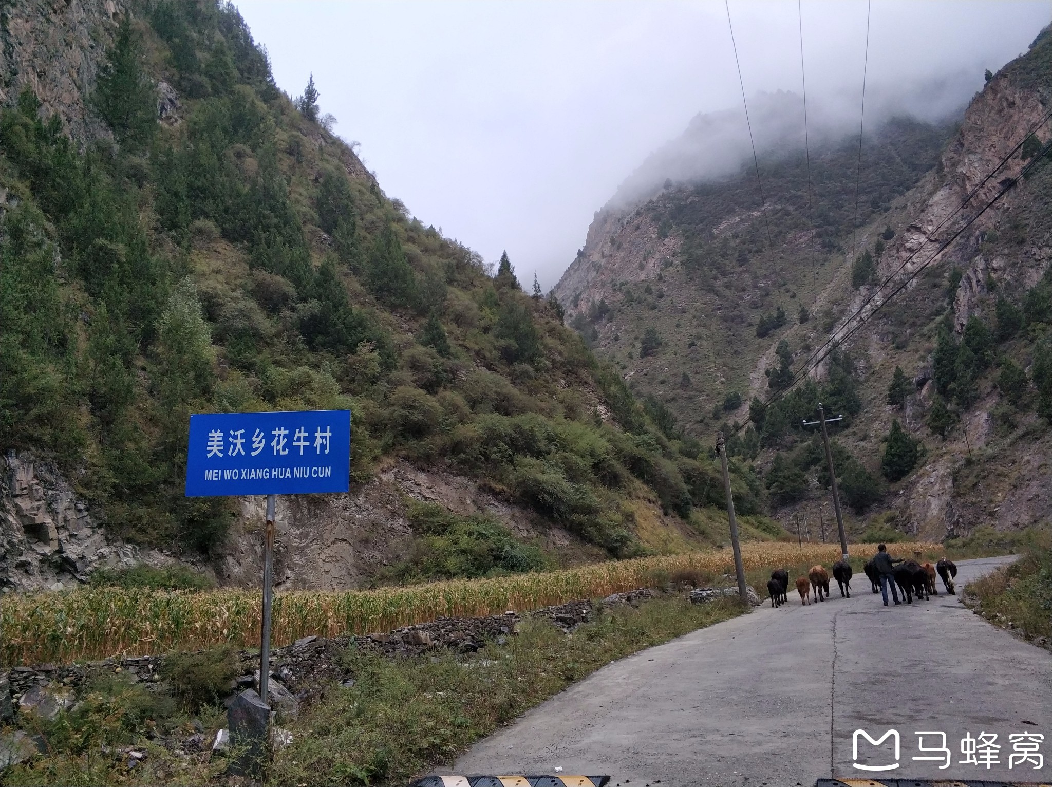 国庆尾巴单人单车宝康路小金宝兴穿越之旅