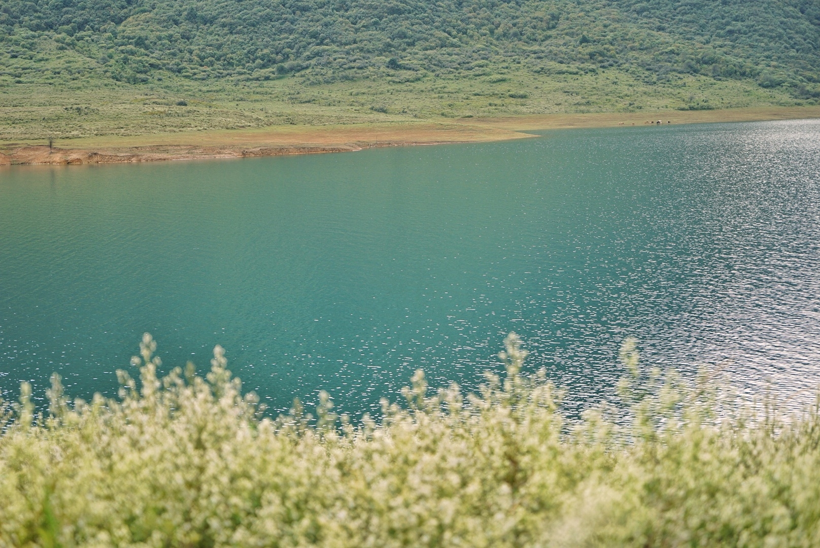 冶勒湖天气