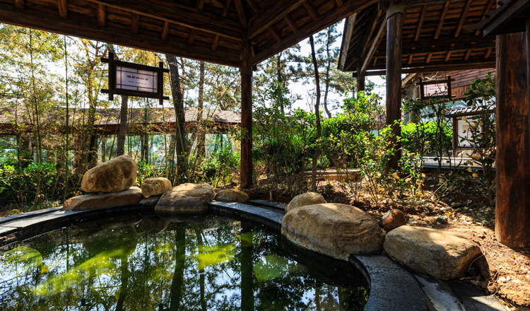 威海天沐温泉度假村一晚住宿套餐(双人自助早餐 双人温泉(二次泡浴))