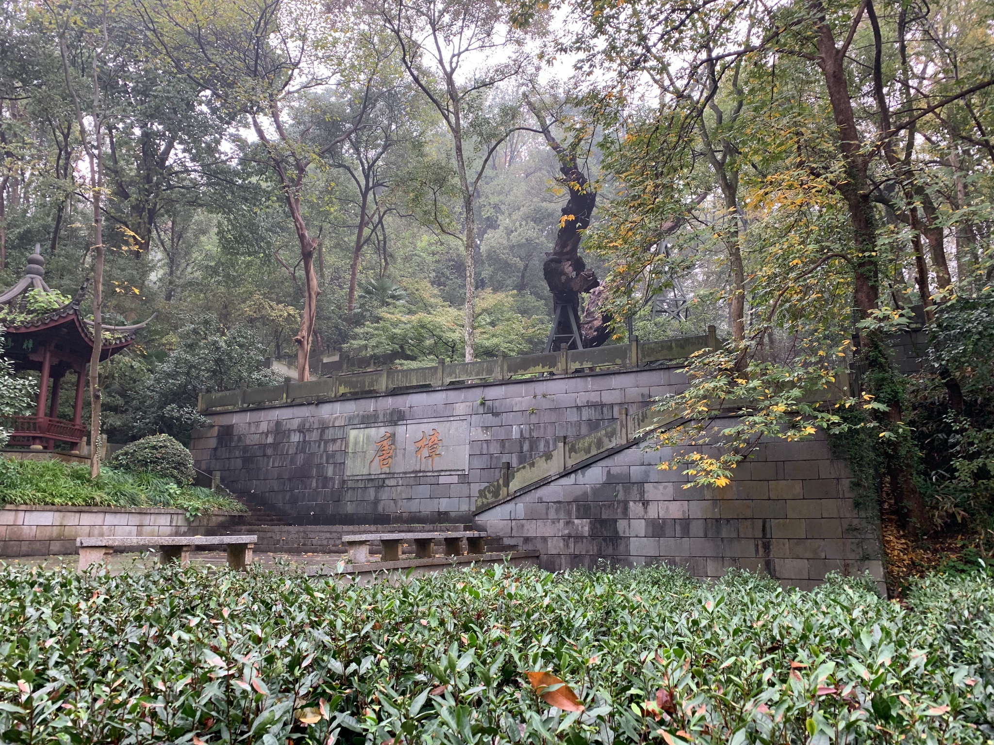 秋风秋雨秋叶杭州周边游之南高峰烟霞洞