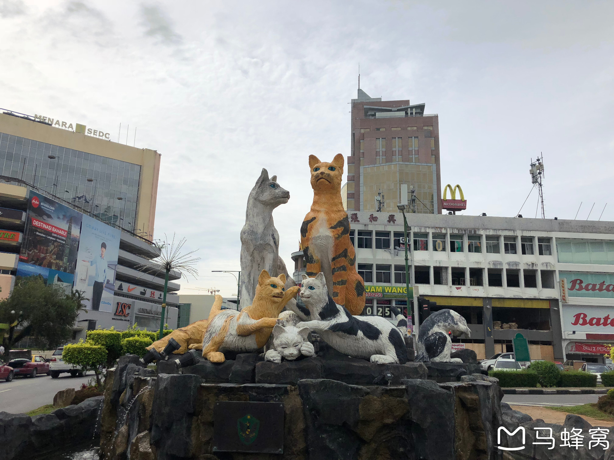 古晋猫城的原始热带雨林徒步之旅