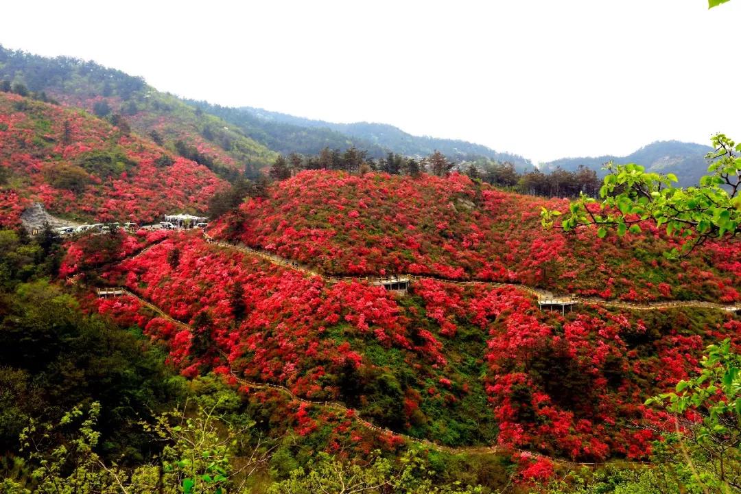 云雾山风景区