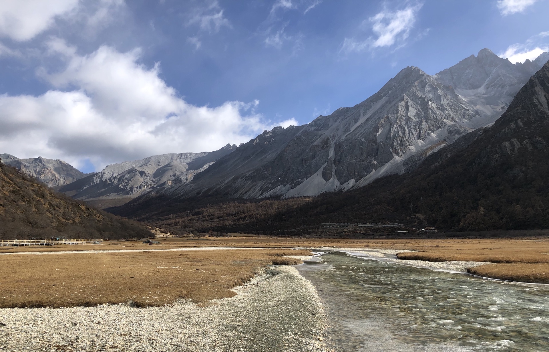 马道行高清