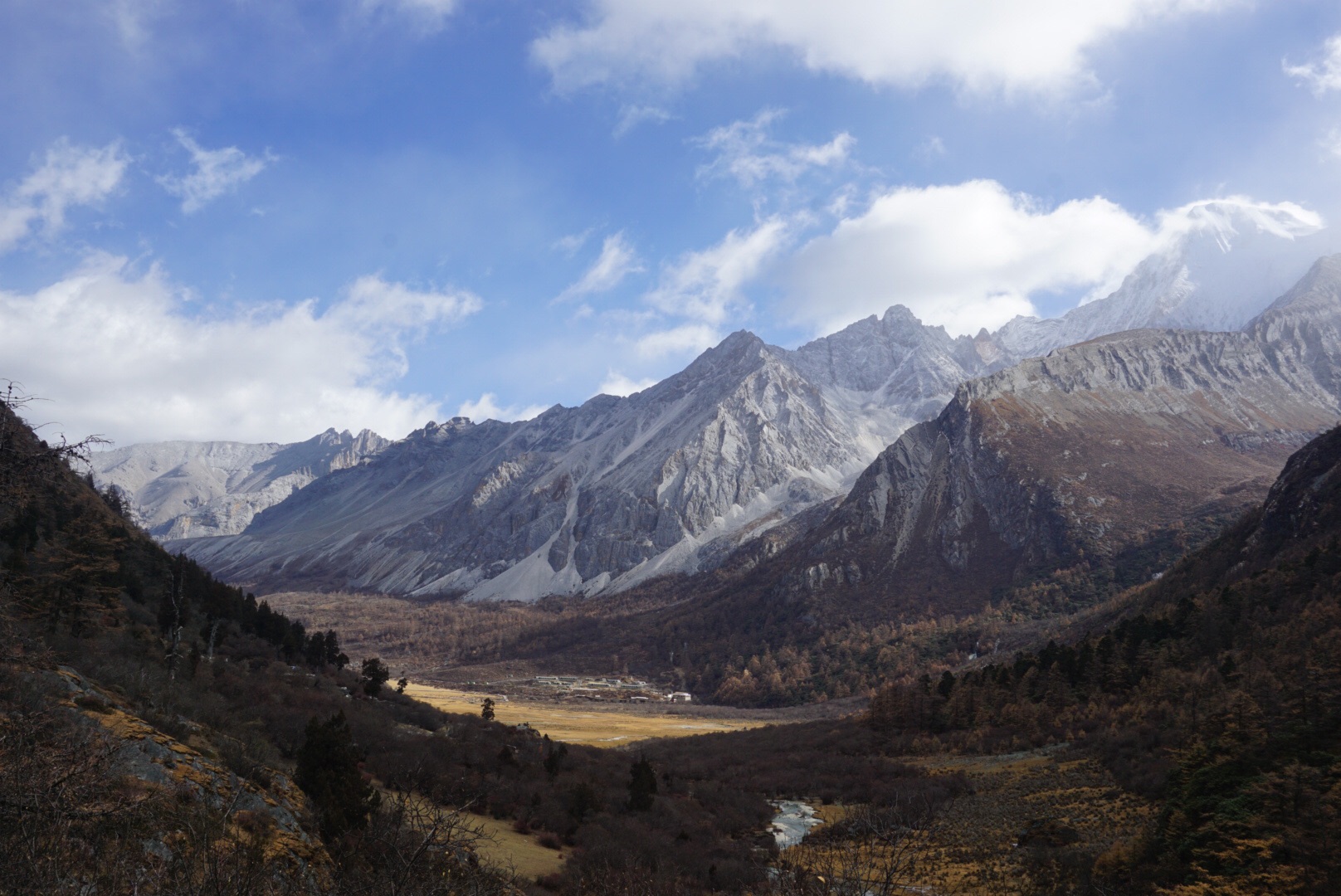 马道行高清