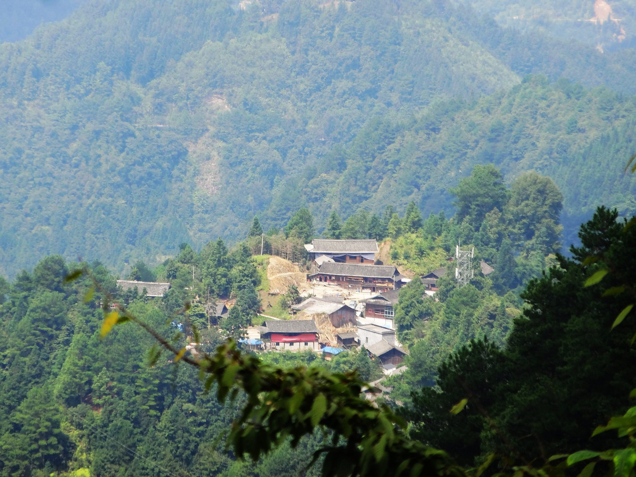 雅王村人口_雅王村六华坡(2)