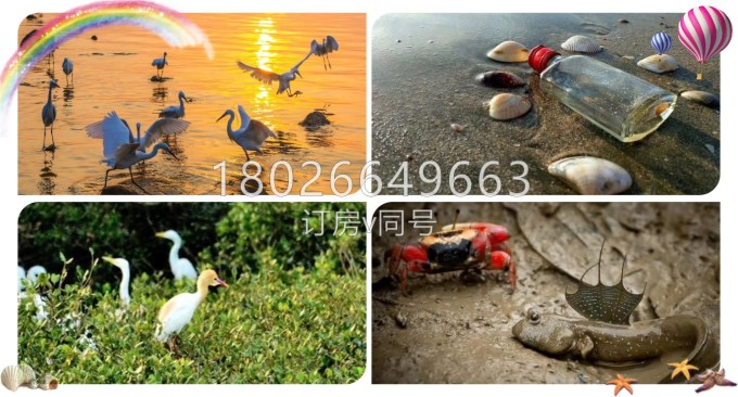 盐惠州夏天自由行v攻略,美绝了.,洲岛自助游攻略-马海南省兴隆自助游攻略图片