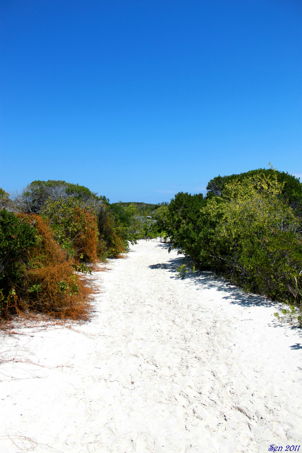 加勒比海豪华邮轮行之完全攻略,加勒比海自助游攻略