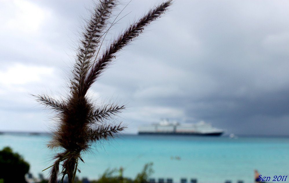 加勒比海豪华邮轮行之完全攻略,加勒比海自助游攻略