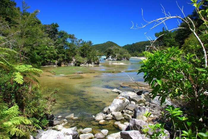 瓦蒂岗人口_坎蒂丝·斯瓦内普尔(2)