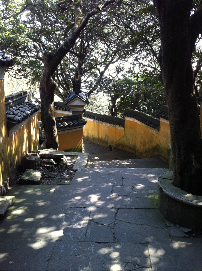 面朝大海,春暖花开——记2012年清明游普陀山