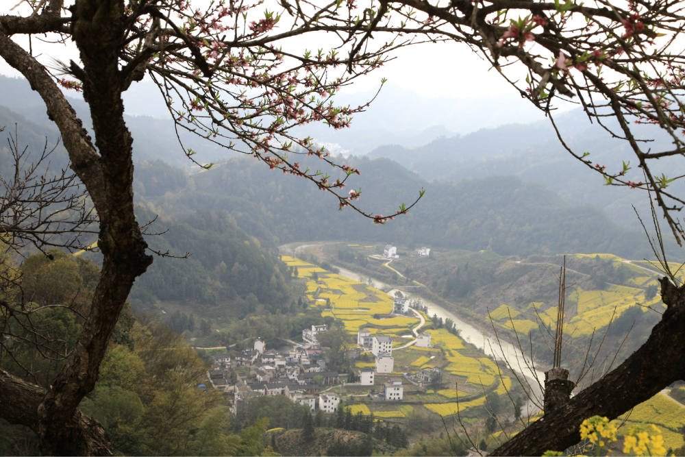 婺源县城人口_婺源县人民政府