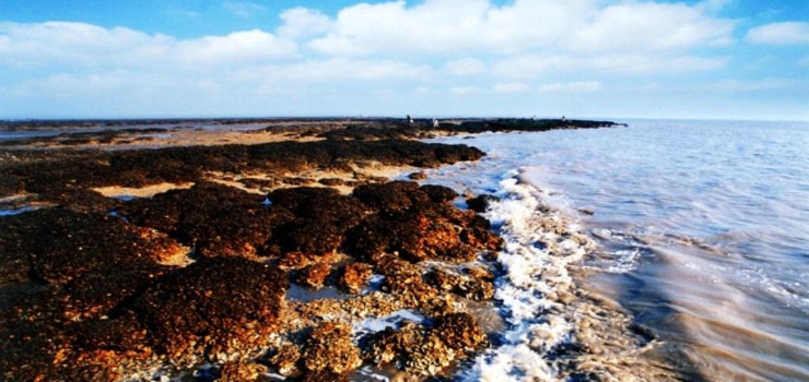 海门景点介绍,海门旅游景点,海门景点推荐 - 马蜂窝