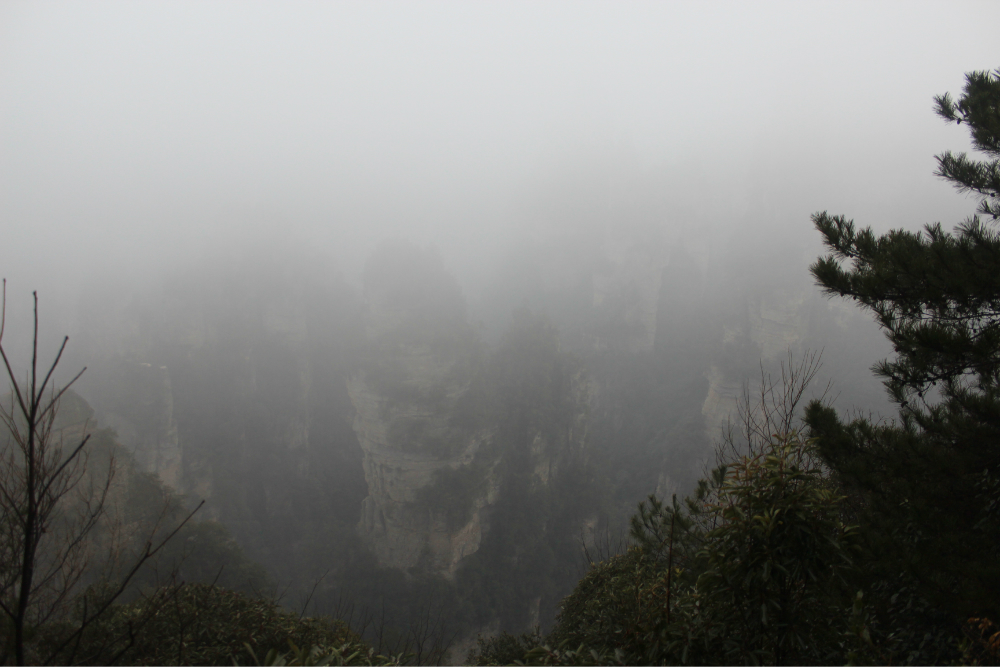 猜成语图片心惊胆战_看图猜成语(2)