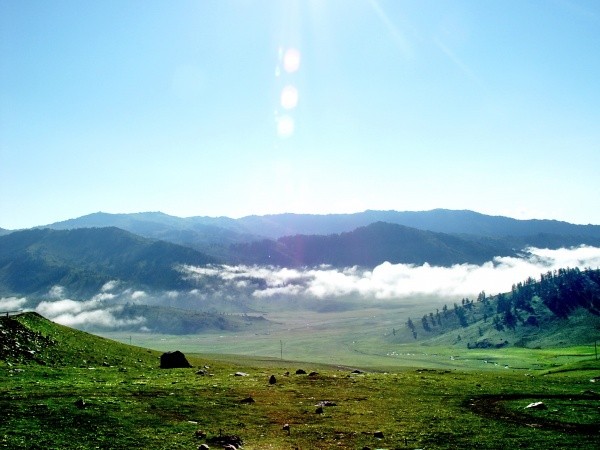 贺兰山原始森林