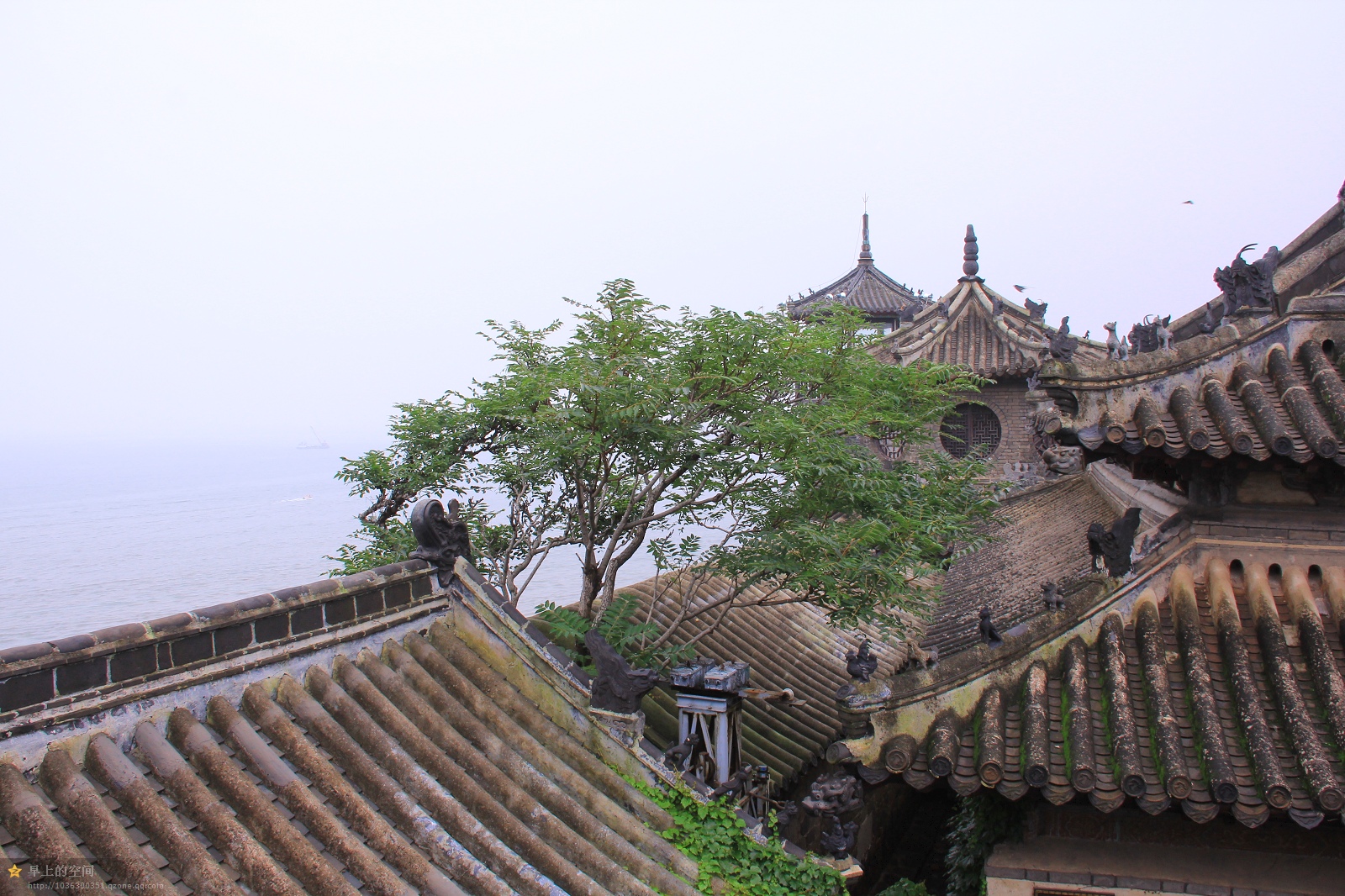 横山县有多少人口_横山县医院照片