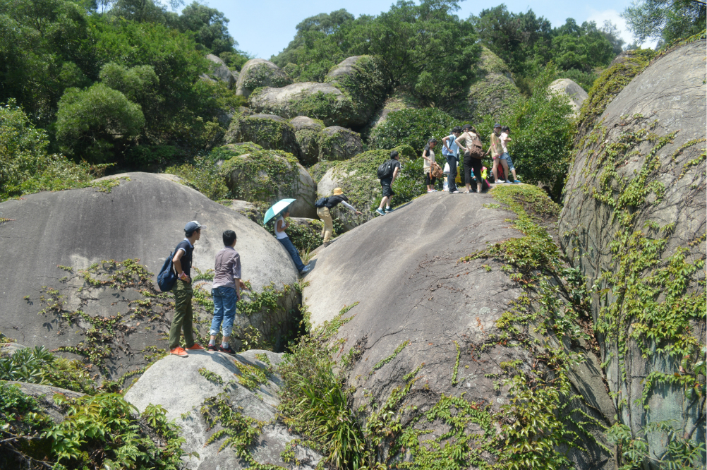 厦门公园游(五-徒步穿越滚蛋谷图片109,厦门旅游景点,风景名胜 马