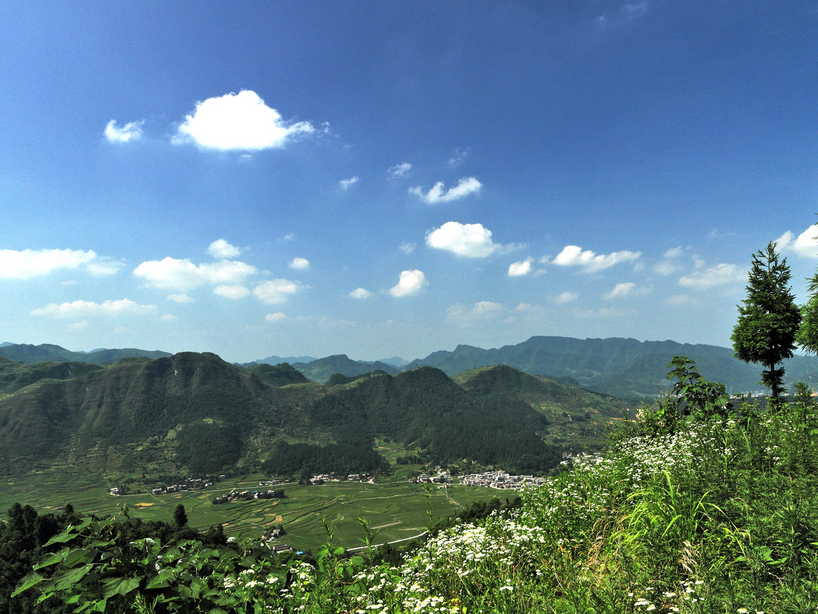螺丝壳原始森林