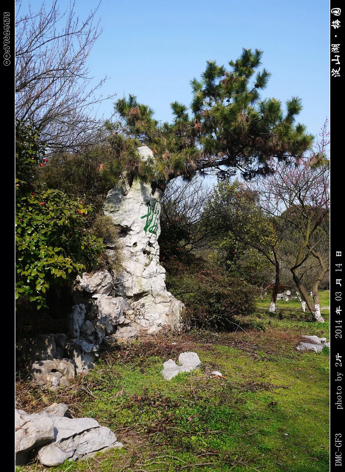 青浦淀山湖梅园2014第六波