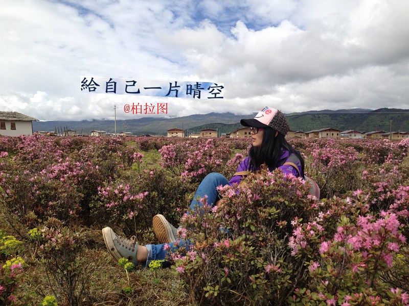 清朝湛江人口_湛江人口热力图