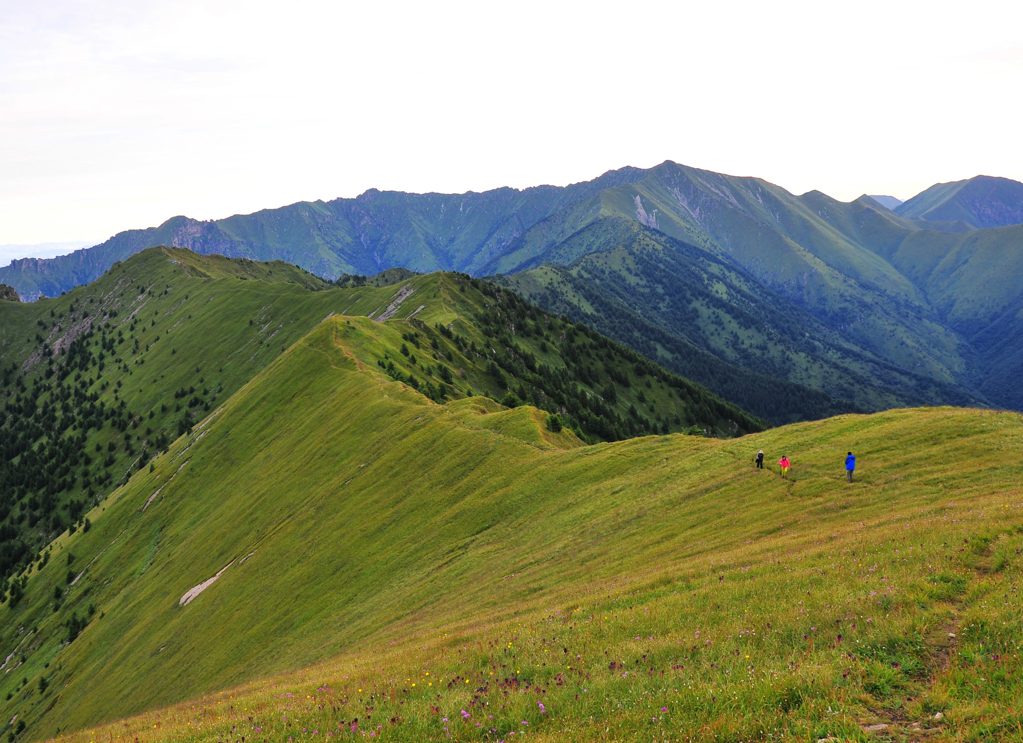 河北蔚县桃花镇gdp_河北蔚县桃花镇美女图