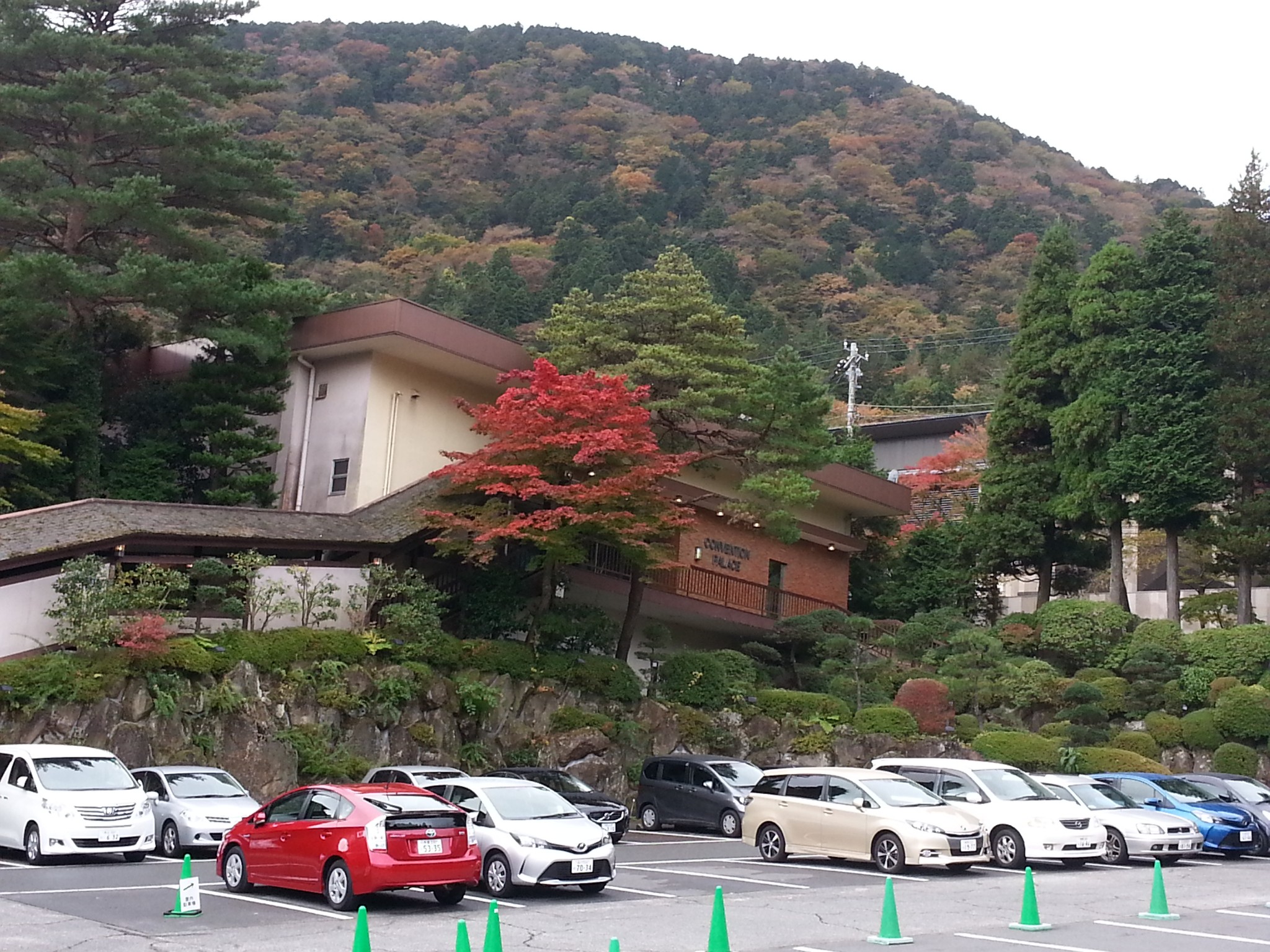 箱根汤本温泉旅馆