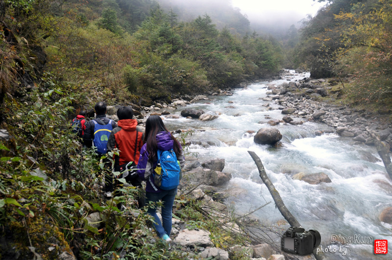 枫叶红喽东拉山层林染了赶羊沟