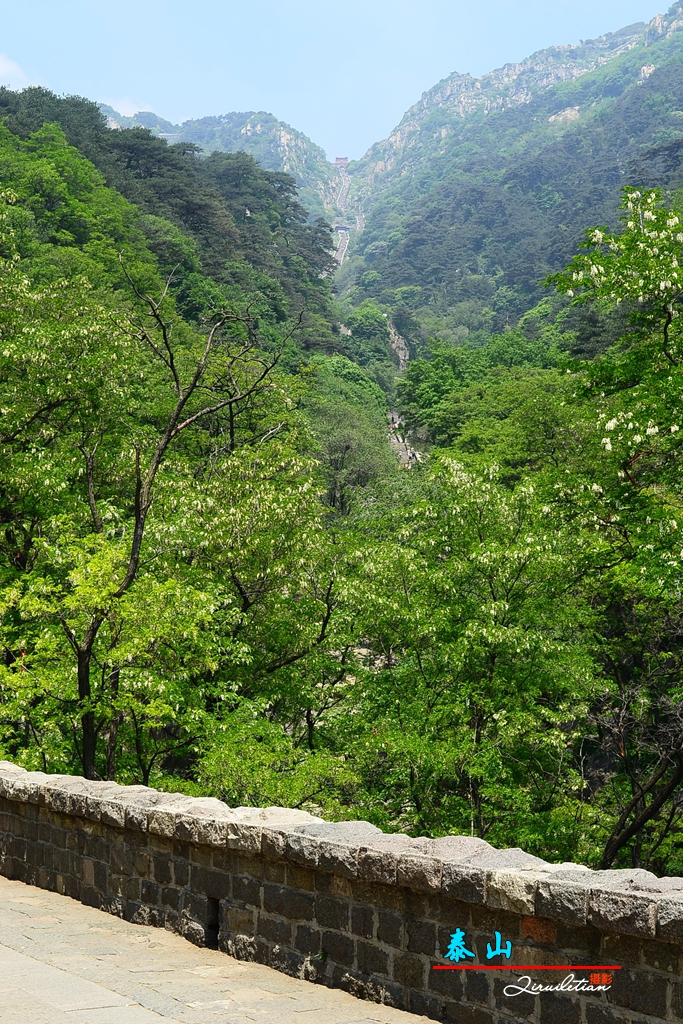 泰山中无人无水 马蜂窝