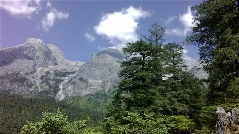 鹰和羊猜成语_看图猜成语(3)