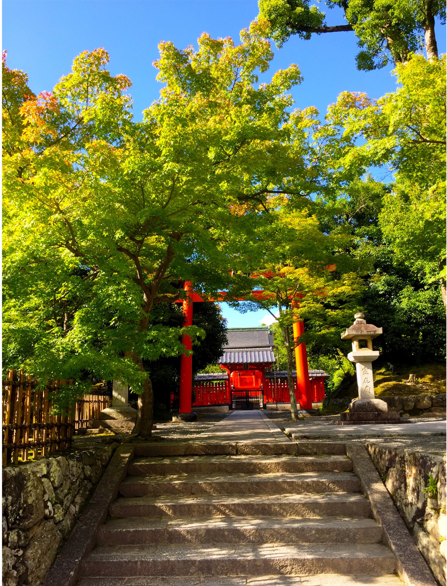 卒业旅行诞生日プレゼント夏季10天游走日本