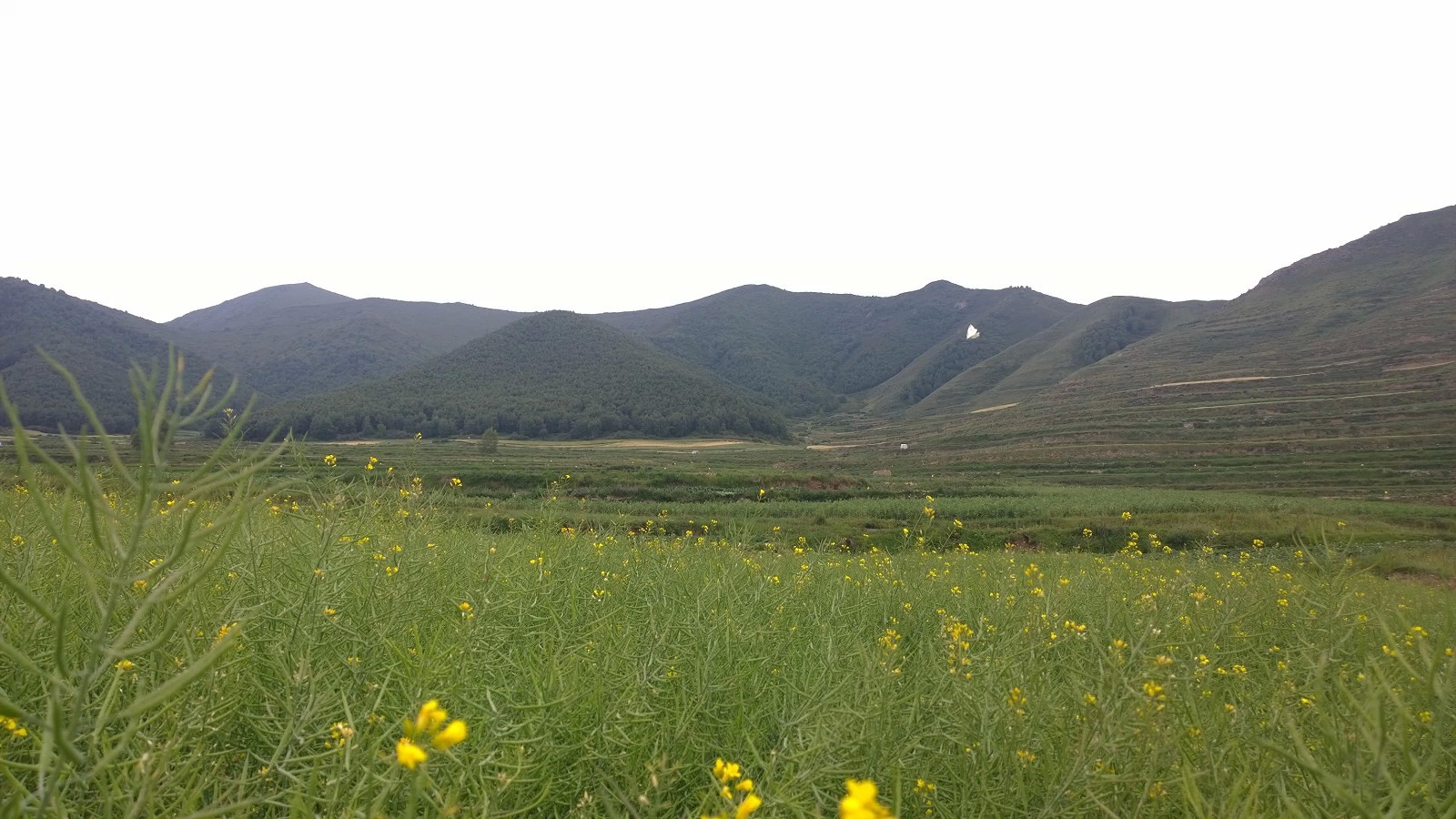 心中有目标,风雨不折腰—骑行马衔山小记