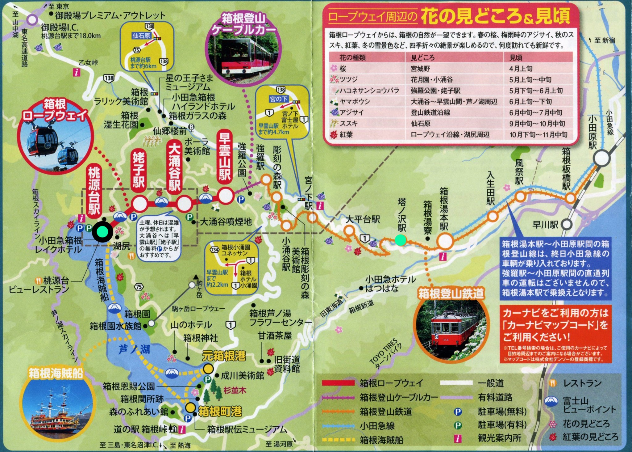 三鹰市人口_人口普查(2)