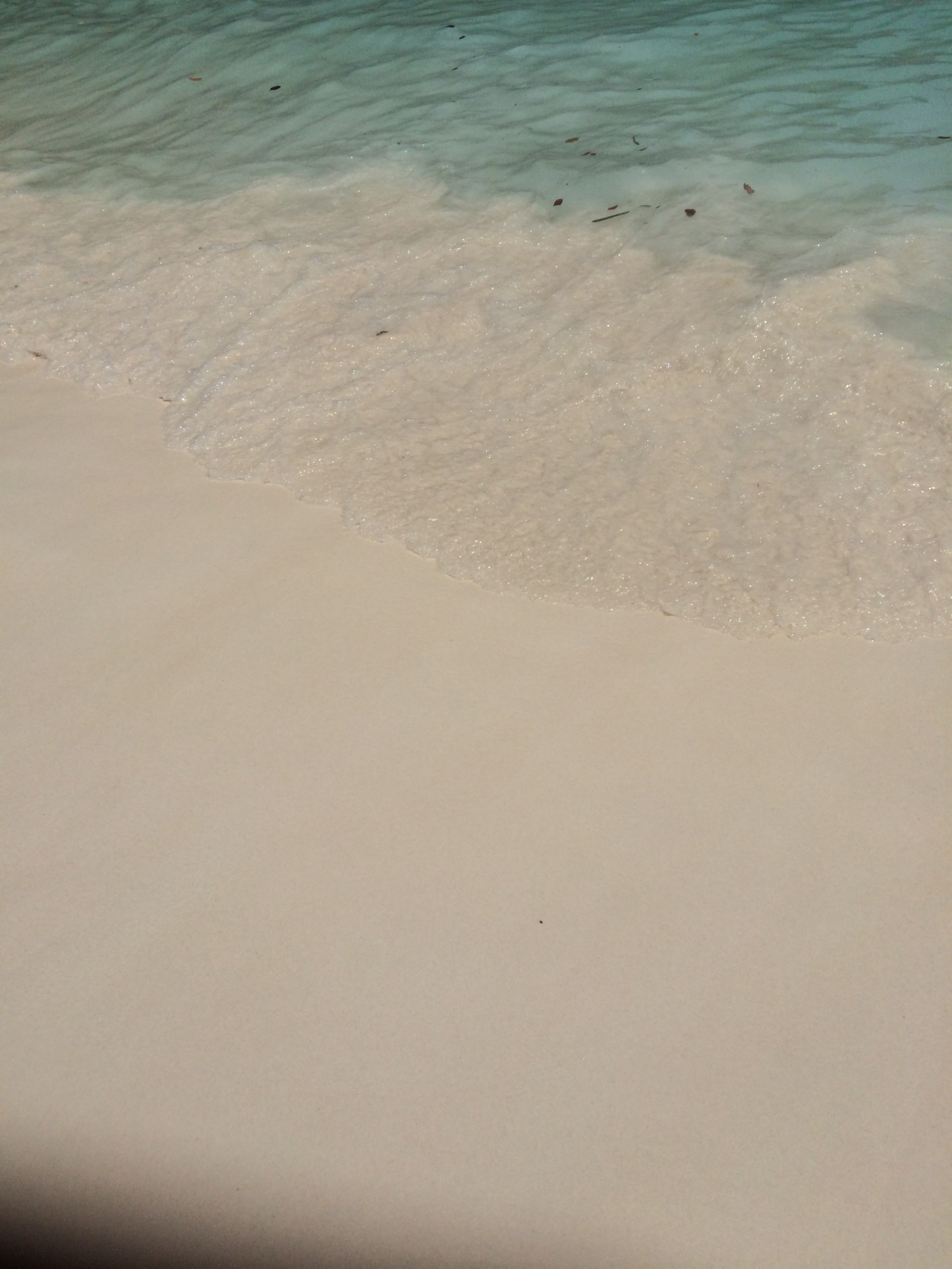 人咬鱼猜成语_看图猜成语(3)