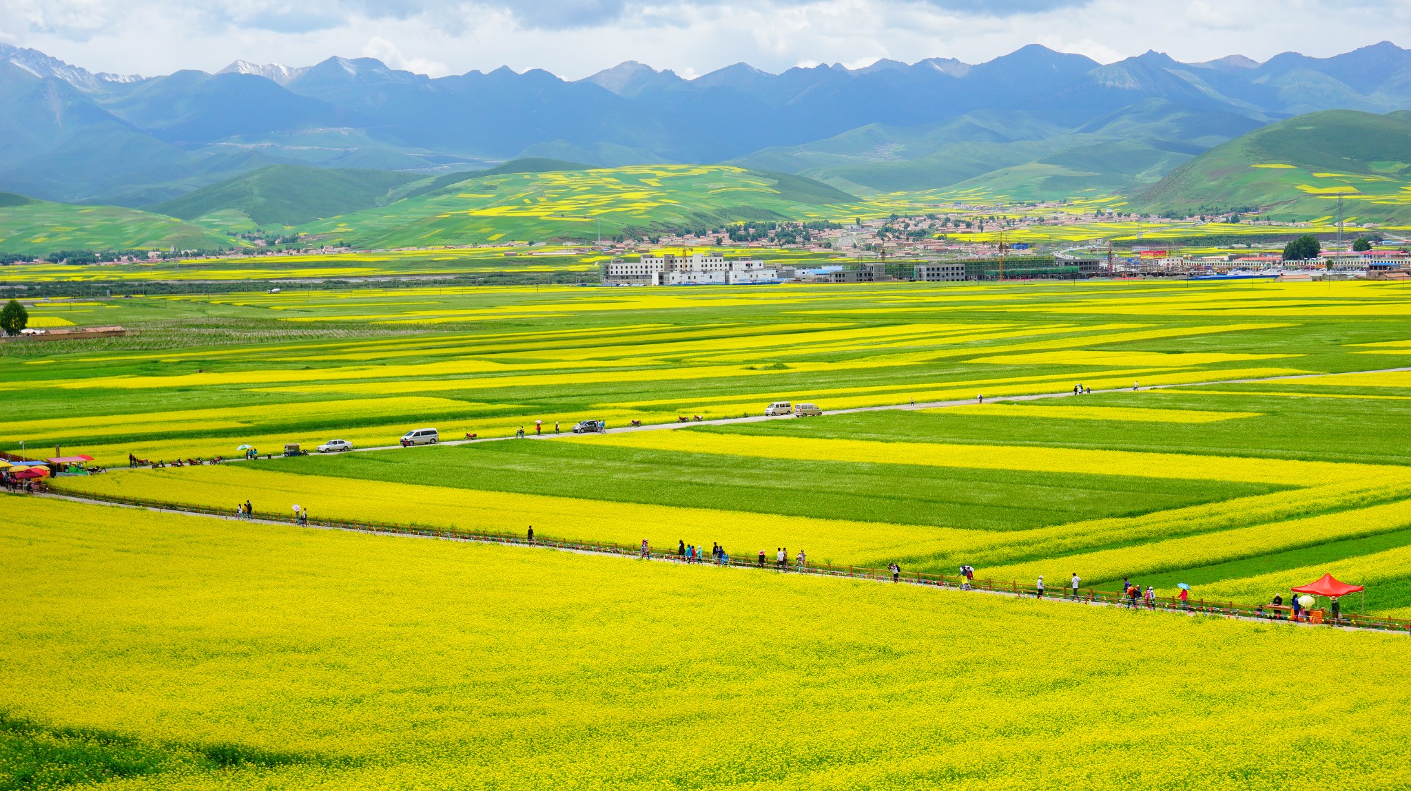 六月青海湖哪里好玩，六月青海湖有哪些好玩的地方，青海湖六月旅游好去处