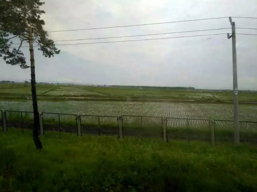 又一次回南岔