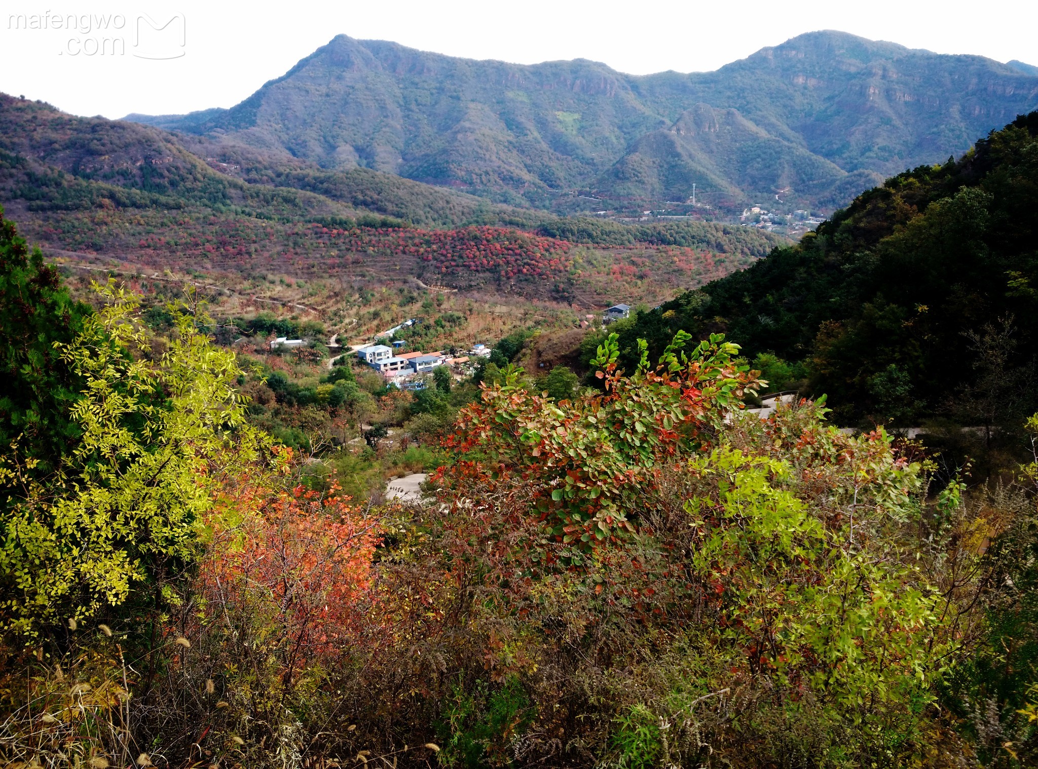 一块在大山窝里待开发的处女地太后村