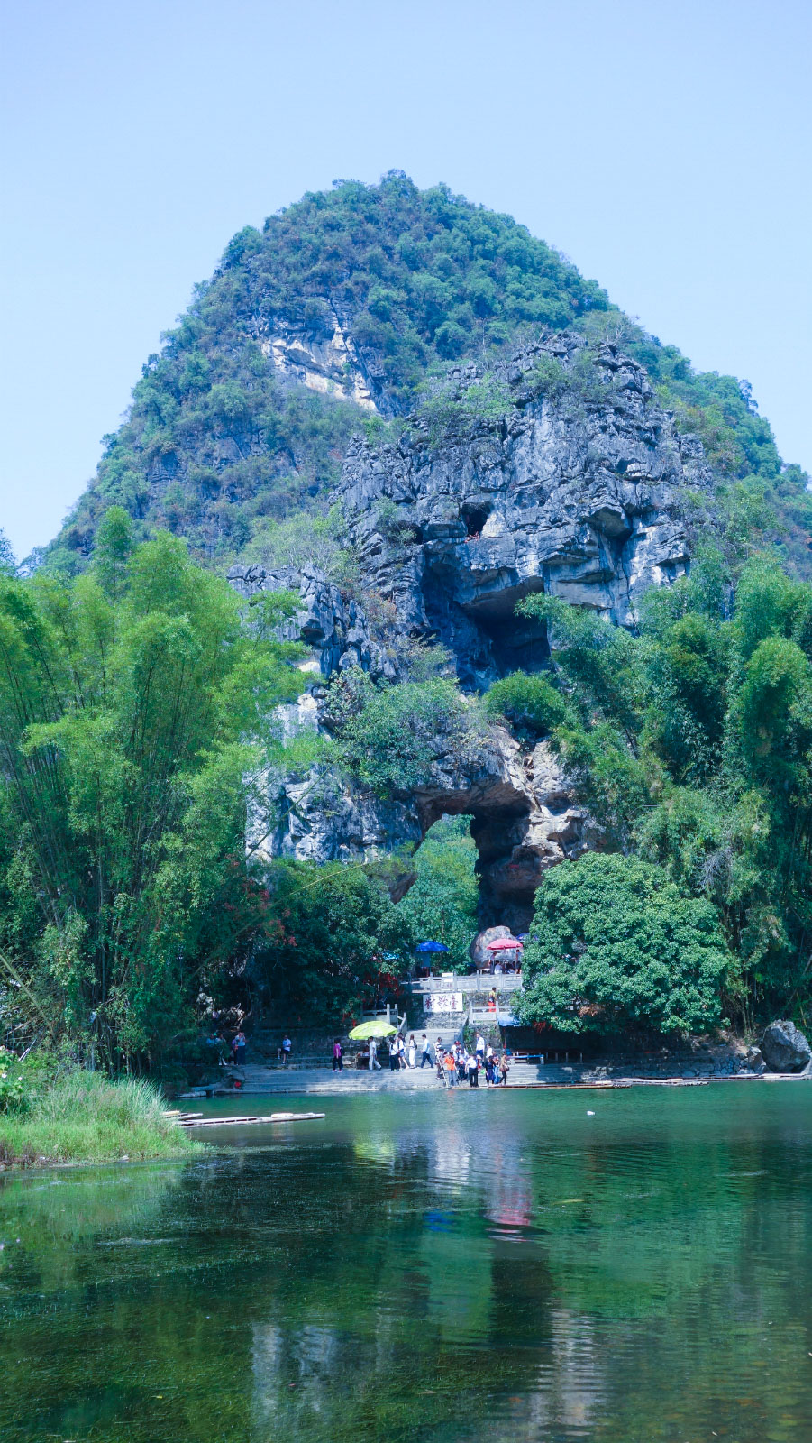 大榕树风景区        