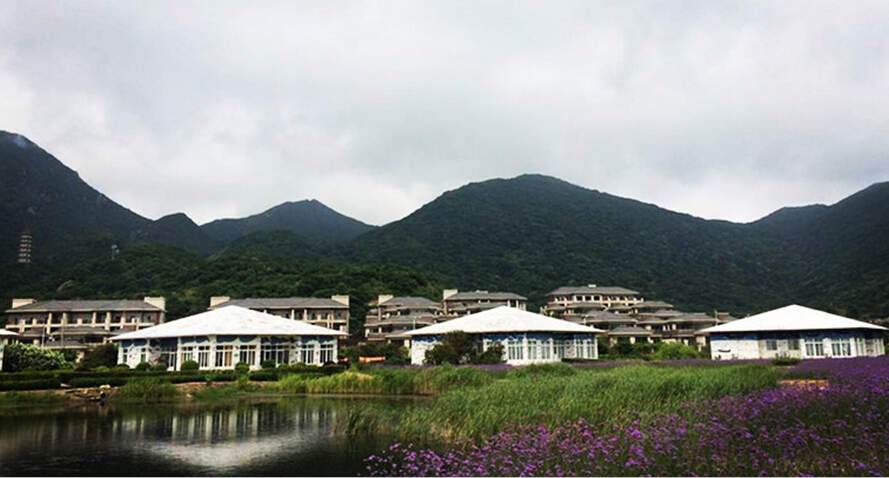 桃花岛景区内有桃花峪、大佛岩、塔湾金沙、安期峰、悬鹁鸪岛、桃花港等六大景区,共12大景观,60余处景点。白雀寺相传为观音出家修行之所;还有桃花寨、桃花阵、桃花会、桃花石等众多景点。桃花岛是理想的海岛旅游、休闲、度假胜地。 桃花峪景区 桃花峪景区位于桃花岛东海岸,是岛上自然生态环境优美的区块,这里奇岩壁立、惟妙惟肖,山顶远观海景、晨观日出,主要景点有:桃花寨、东海神珠、弹指峰、神雕石、 海龟巡岸、含羞观音。 桃花峪景区 桃花寨位于桃花峪景区中心位置,占地面积约2平方公里,这里绿树成荫,清溪曲桥,环境幽静