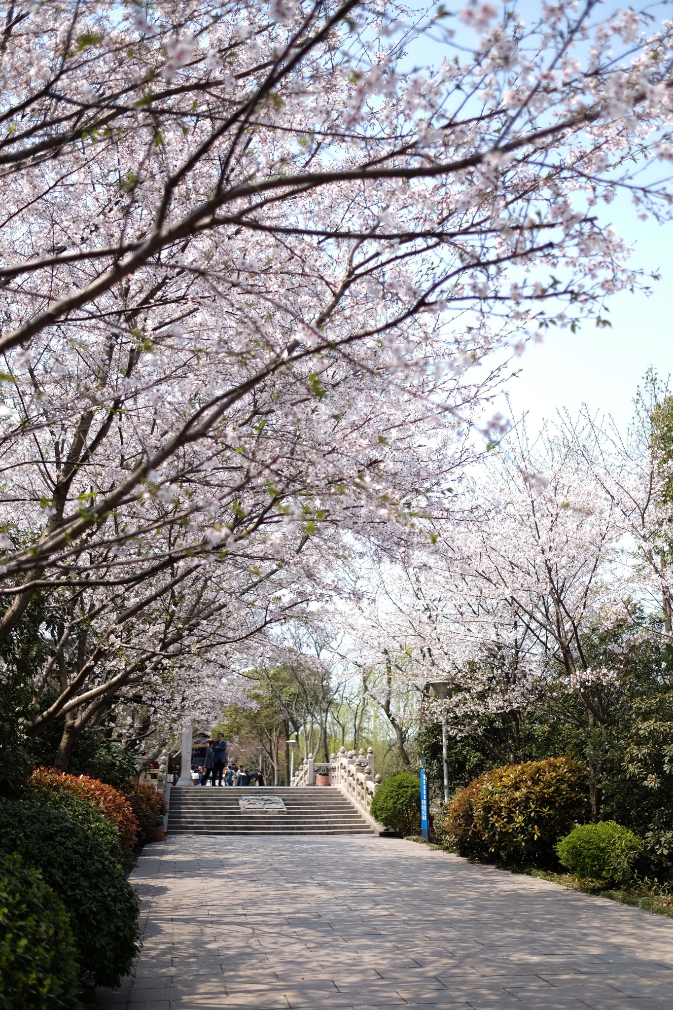 长广溪国家湿地公园      