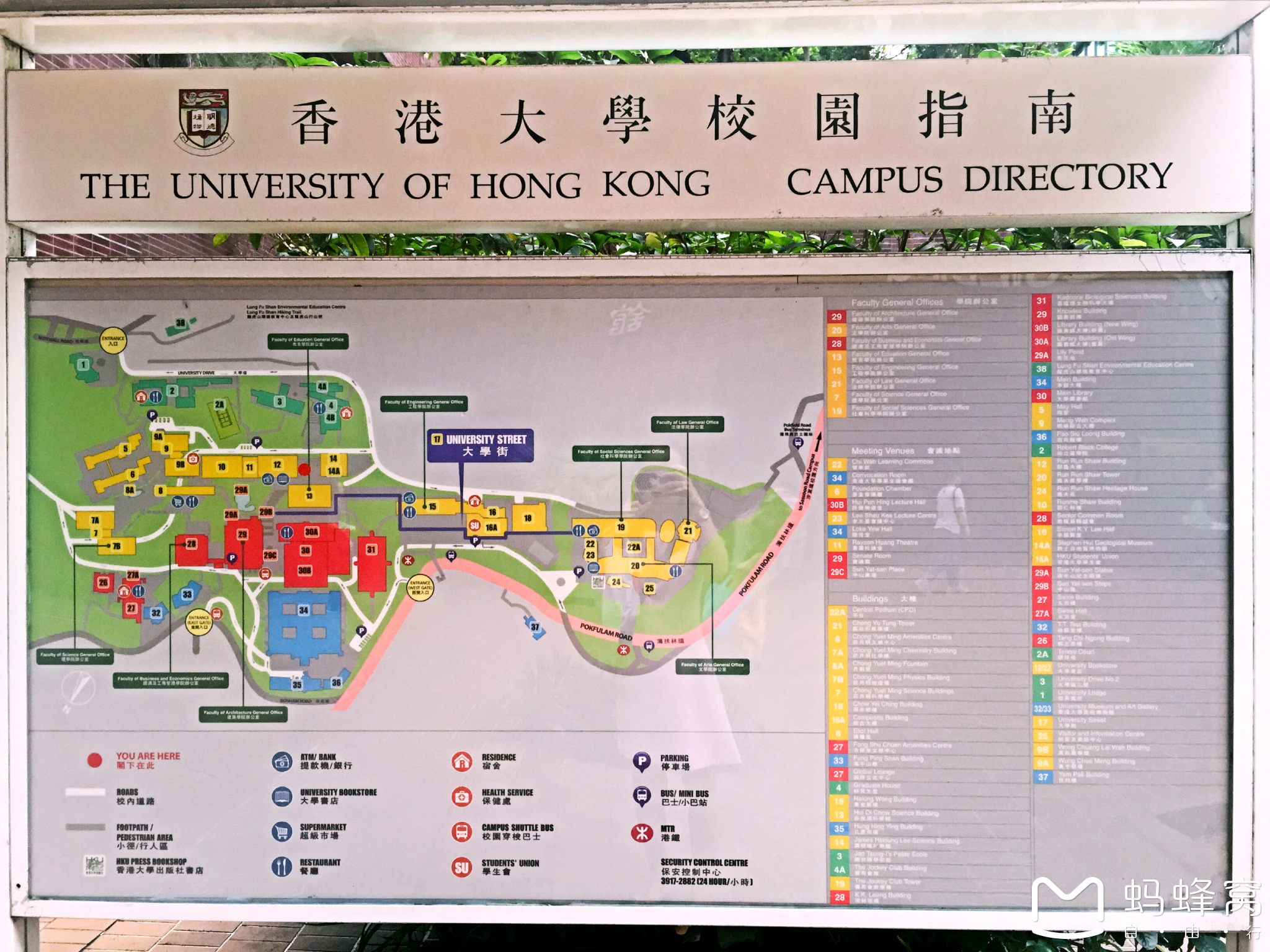 香港大学