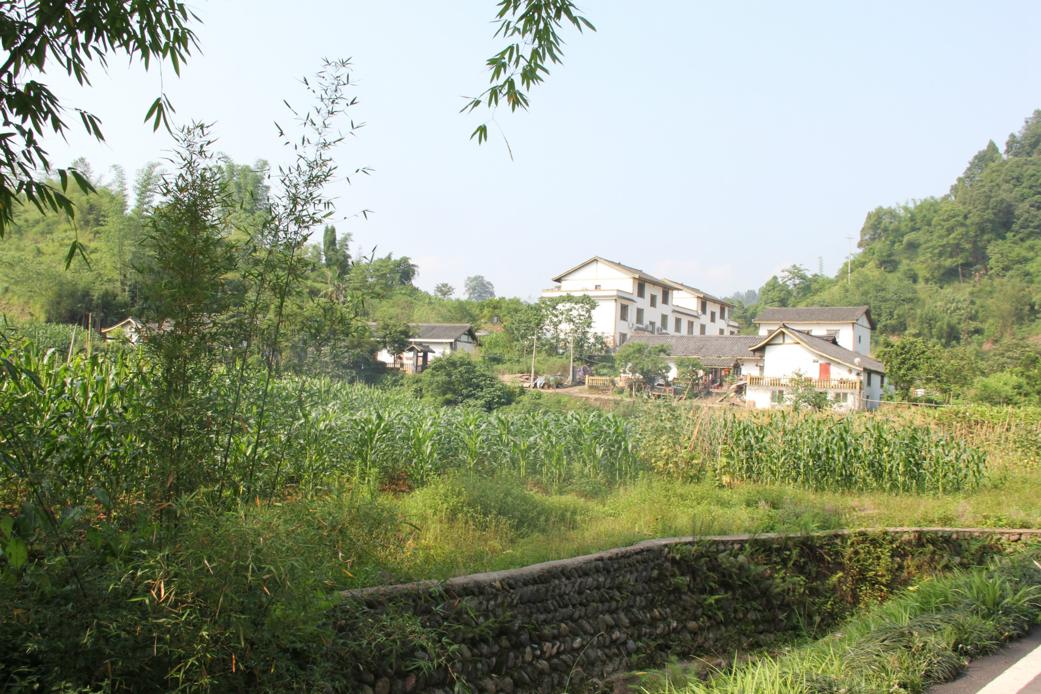 沐川县农村人口_近年来,沐川县以新农村建设、城乡统筹为契机,整合政策资源