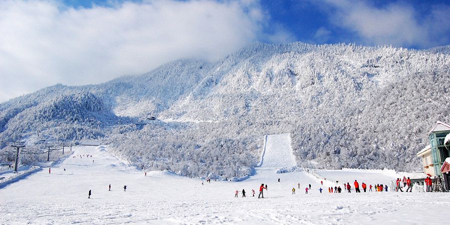 11大促】西岭雪山大门票 日月坪索道往返 鸳鸯池