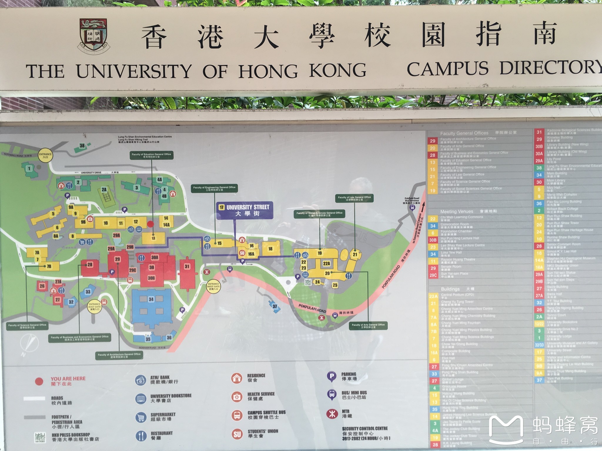 香港大学          